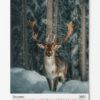 VACATION DREAMS 2021 - Image 13